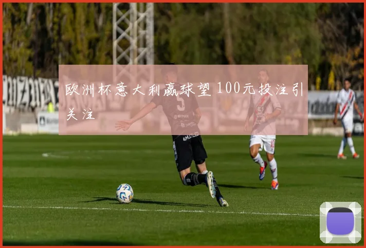 欧洲杯意大利赢球望 100元投注引关注