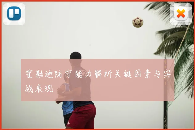 霍勒迪防守能力解析关键因素与实战表现