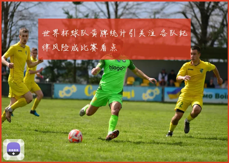 世界杯球队黄牌统计引关注 各队纪律风险成比赛看点