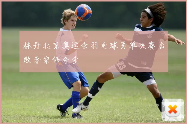 林丹北京奥运会羽毛球男单决赛击败李宗伟夺金