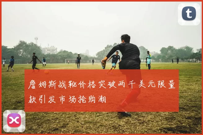 詹姆斯战靴价格突破两千美元限量款引发市场抢购潮